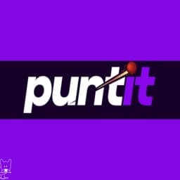 Puntit Logo