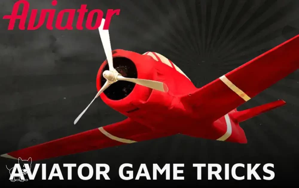 Play Aviator Game Like a Pro: Auto-Cashout and Betting Patterns
